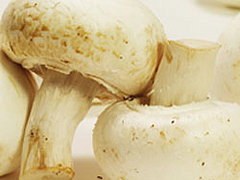 Misconceptions About Mushrooms Misconceptions About Mushrooms