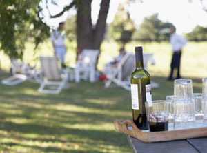Wine and Sunshine May Be Beneficial for Women's Health