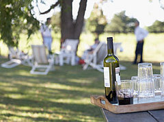 Wine and Sunshine May Be Beneficial for Women's Health Wine and Sunshine May Be Beneficial for Women's Health