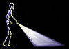 Quiz on Medical and Health Myths