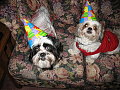 Pets of the Week