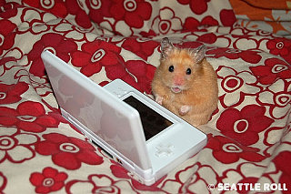 Hamster Hacker