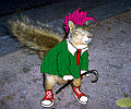 Dress The Squirrel!