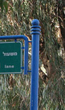 Two Roads Diverged...