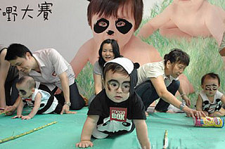Cute Alert: Panda Baby Crawling Contest