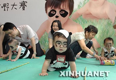 babypanda1 babypanda1
