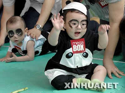 babypanda2-2 babypanda2-2