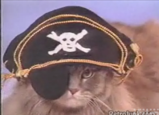 Is Your Cat A Pirate?