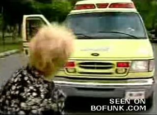 Why Did The Old Lady Cross The Street?