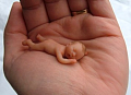 Cute or Creepy?