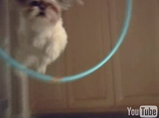 Cute Alert: Falcor The Urinator