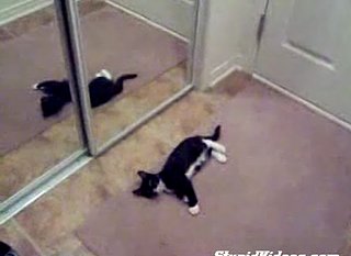 Happy Caturday!