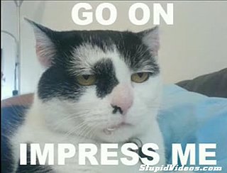 LOL Cats + The Cure = Awesome
