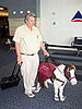 Cute Alert: Miniature Guide Horse