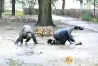 Gravity Vs. Two Drunks