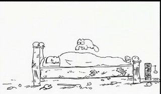 Cat to Owner: Rise and Shine!