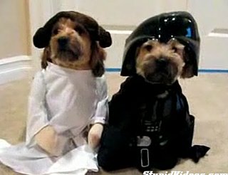 Halloween Pups