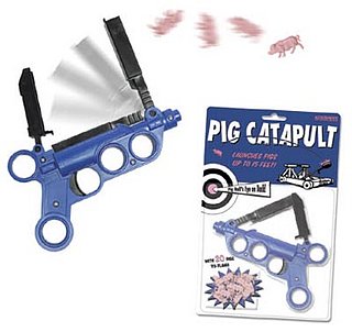 Product of the Day: Pig Catapult Toy