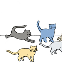 Cat Humor