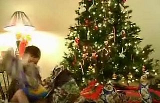 It's the Flying Christmas Puppy!