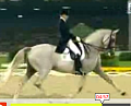 Dances With Horses