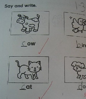 WTF?!