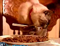 Cat Dines With Fork