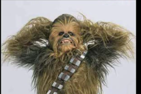 House Cleaning With Chewbacca