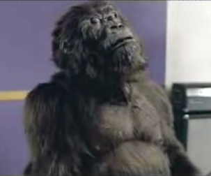 Gorilla Takes A Moment To Reflect