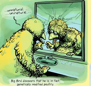 BigBird BigBird