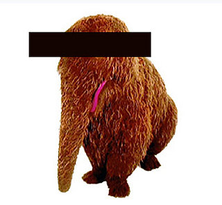 Guess Who?