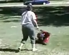 Crazy Lady Vs. Lawn Mower