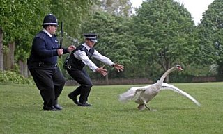 Movie Preview: Hot Fuzz
