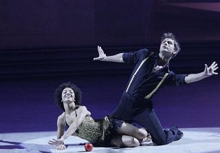 "So You Think You Can Dance": The Elite Eight