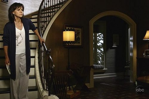 Does Sally Field's Emmy Make You More Interested in "Brothers and Sisters"?