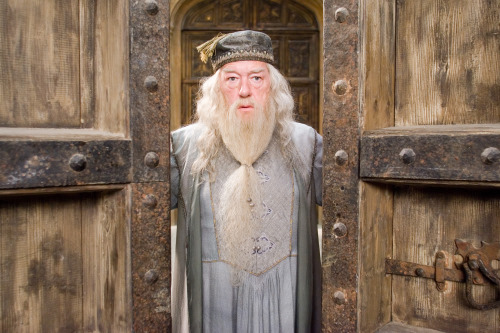 Dumbledore: Gay. Discuss.