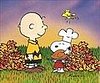 What Did You Watch on Thanksgiving? 