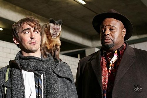Pushing Daisies Recap: Episode 9, "Corpsicle"