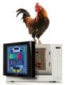 The Real Microwavable TV Dinners