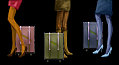 Luggage For Style Conscious Pocket Lovers