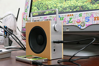 Compact Wood Radio/Speaker: Love It or Leave It? 