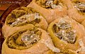 Yummy Link: Pesto Rolls
