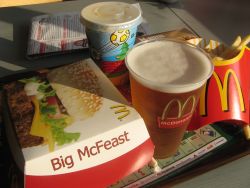 McGlobal Village