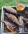 Sunday BBQ: Grilled Striped Bass with Orange-Saffron Butter