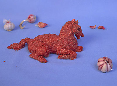 pferd1_gr pferd1_gr