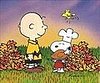 TV Dinners: A Charlie Brown Thanksgiving