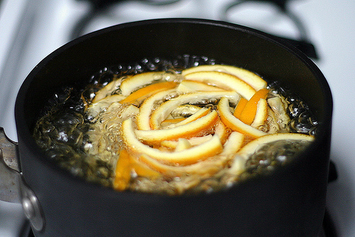 Yummy Link: Chocolate Covered Candied Orange Peels