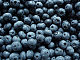 blueberry07