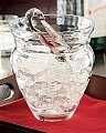 The Ultimate Bar: Ice Bucket