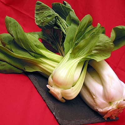 Bok Choy Bok Choy